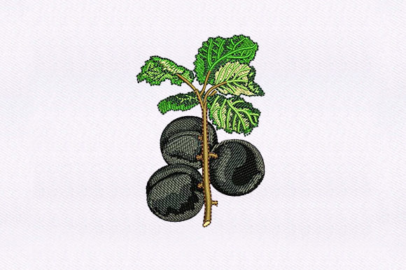 Black Cherry Vines: A Seasonal Embroidery Gem