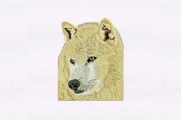 Labrador Husky Face
