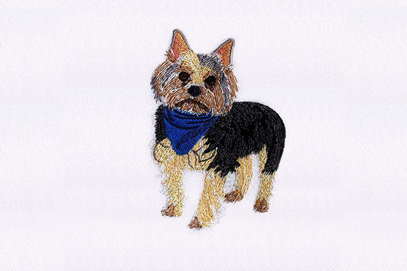 Yorkshire Terrier Dog Embroidery Design